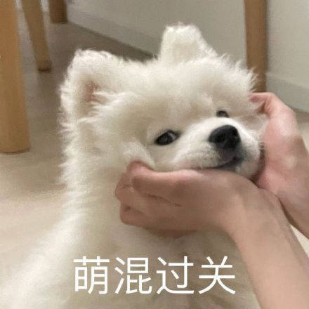 雙非大三，績點低，想去香港留學來得及嗎？怎么補救？