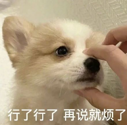 雙非大三，績點低，想去香港留學來得及嗎？怎么補救？