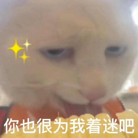 雙非大三，績點低，想去香港留學來得及嗎？怎么補救？