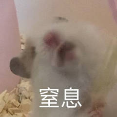 為什么不建議家境普通的學生讀商科？