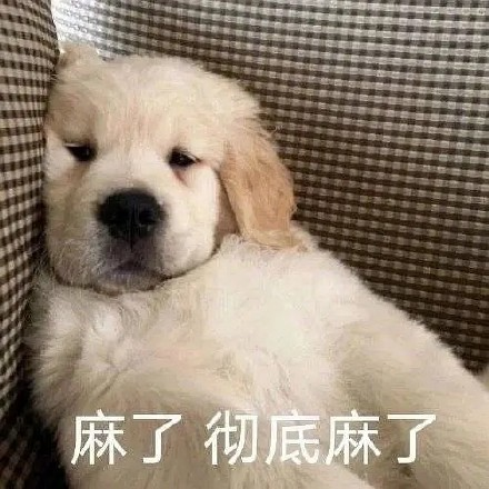 留學(xué)生10大最難學(xué)專業(yè)，金融竟然是最后一名？