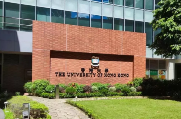 香港大學公布商科學生錄取背景，24fall怎么準備能一步拿offer？