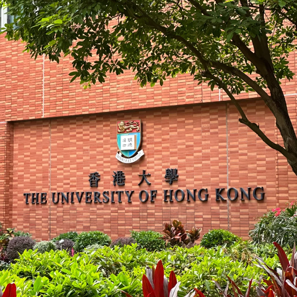 香港大學(xué)25Fall新增11個專業(yè)，盤點申請要求！